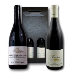 Coffret Cadeau Bourgogne rouge 1er cru Bio