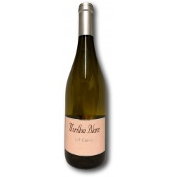 Rosé de Syrah 2015