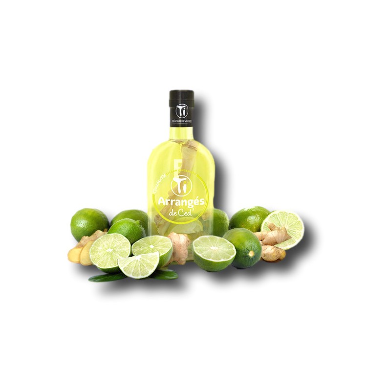 Rhum Arrangé Citron Gigembre Bigallet