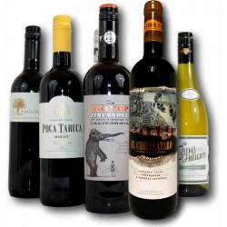 Coffret Vins du Monde