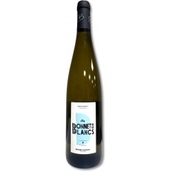 Muscadet Sèvre & Maine Sur Lie BIO