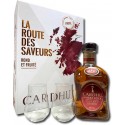 Coffret Cadeau Whisky CARDHU Amber Rock avec 2 verres