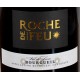 BOURGUEIL « Roche de Feu »