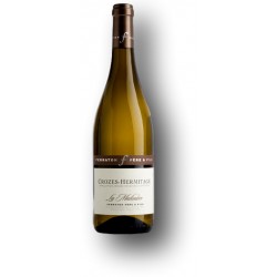 Crozes-Hermitage Blanc « La Matinière » - Domaine Ferraton & Fils