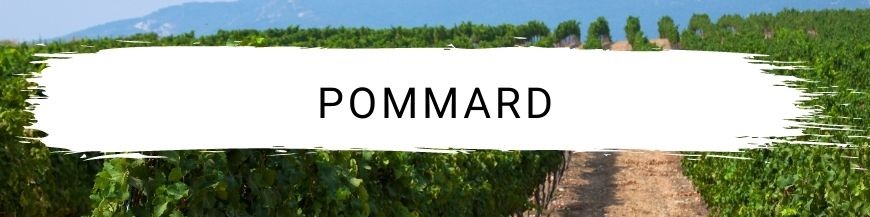 Pommard