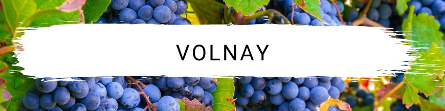 Volnay