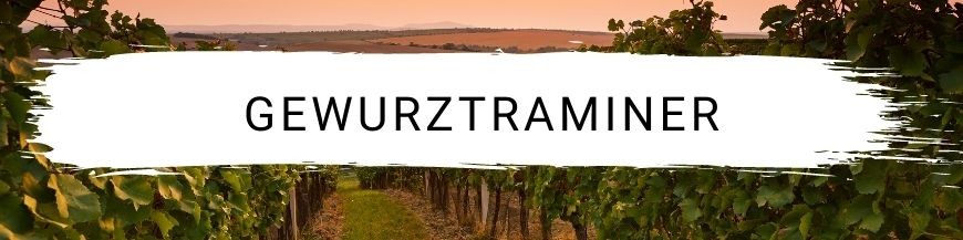 Gewurztraminer