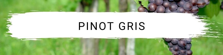 Pinot gris