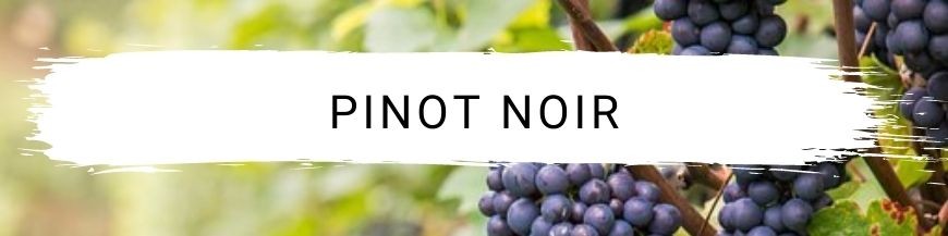 Pinot noir