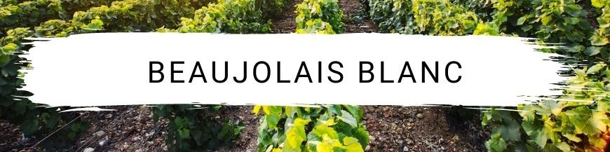 Beaujolais Blanc