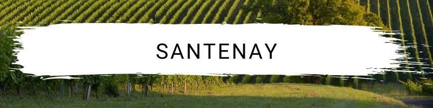 Santenay