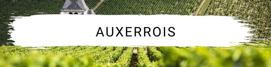 Auxerrois