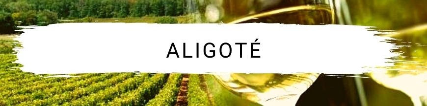 Aligoté