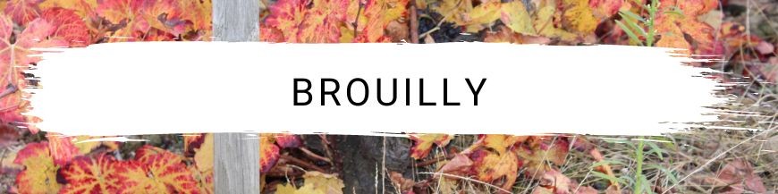 Brouilly