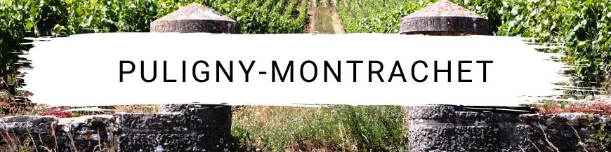 Puligny-Montrachet