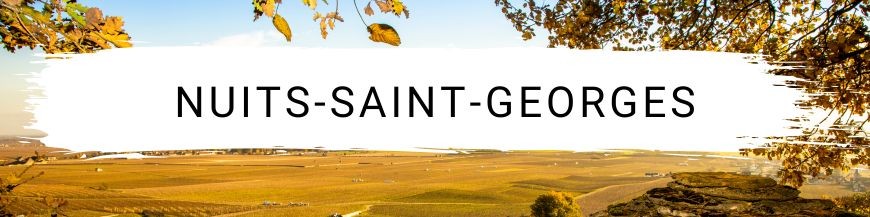 Nuits-Saint-Georges