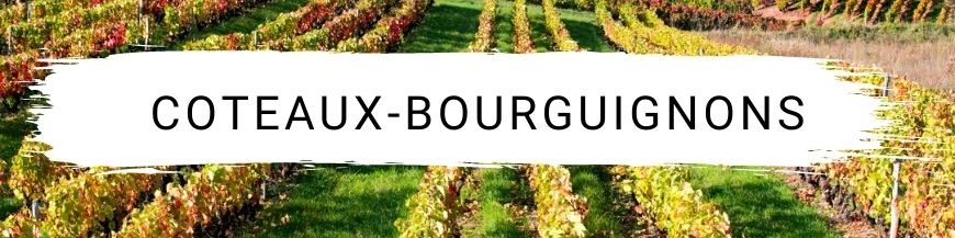 Coteaux-bourguignons